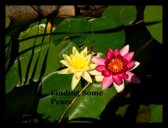 10-20 Minutes of Silence