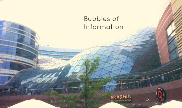 Living A Midst An Information Age