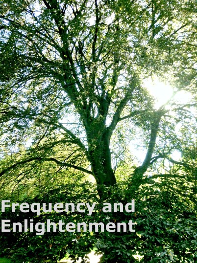 Frequency And Enlightenment